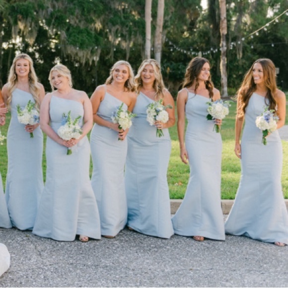 Amsale Cecilia bridesmaid dress size 4 color “ice” - Picture 2 of 14